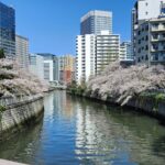【景色が最高】東京の海沿い・川沿いランニングコース5選